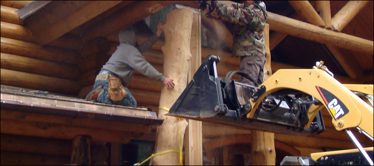 Log Home Log Replacement  Gainesville, Virginia