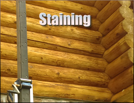  Prince William County, Virginia Log Home Staining